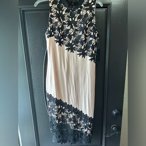 Venus pink and black appliqué dress